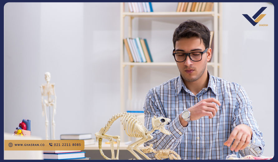 دامپزشکی در روسیه