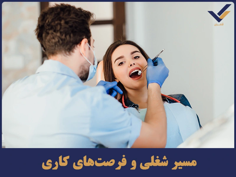 مسیر شغلی و فرصت‌های کاری